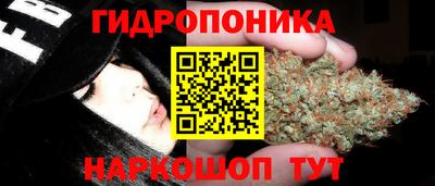 прущие крисы Обнинск