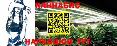 индика Обь