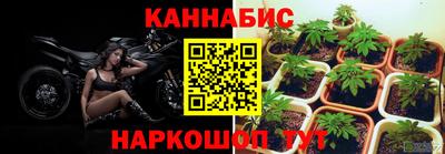 индика Обь