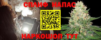 индика Обь