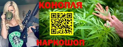 индика Обь