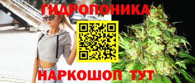 PSILOCYBIN Нягань