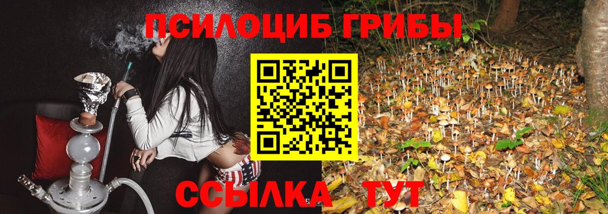 Рыбинск  Галлюциногенные грибы ЛСД  Вход с VPN  Псилоцибиновые грибы Psilocybe 